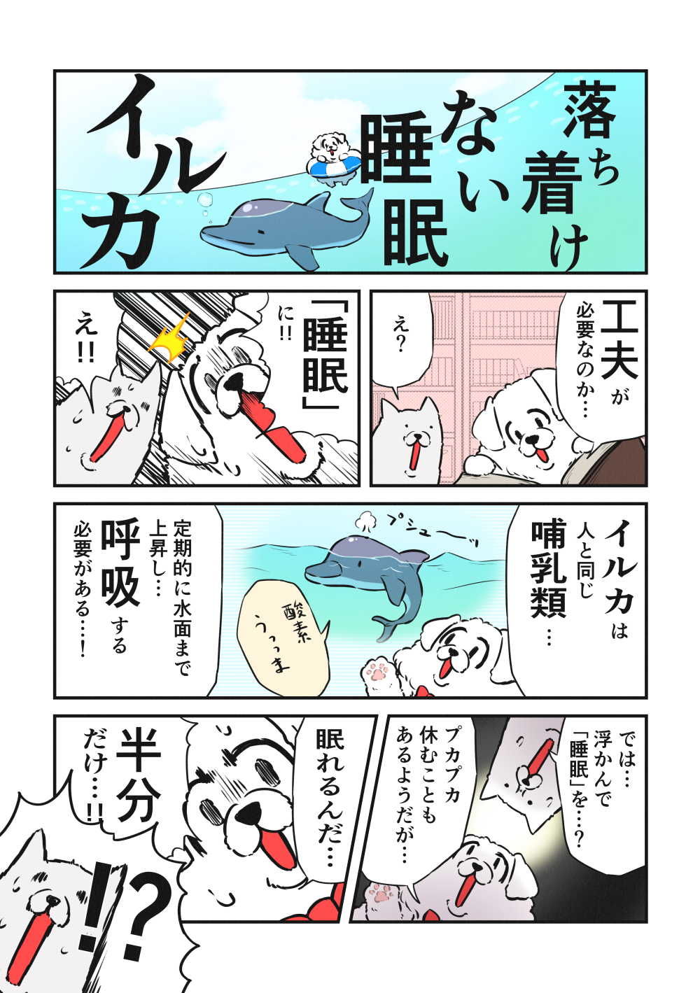 落ち着けない睡眠「イルカ」